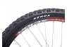 Alpine Element Quark 3.0