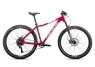 Titan Racing Rogue Calypso Cruz