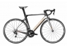 Pardus Spark EVO Rim 105 2023